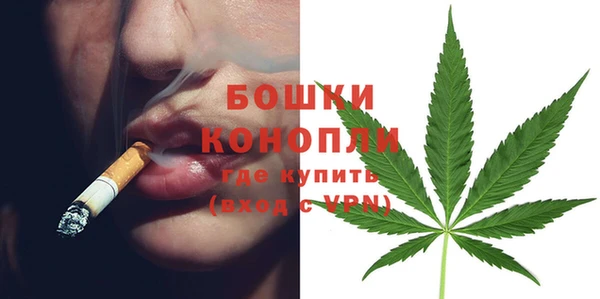 бошки Бронницы